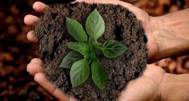 Sustainability and the Gospel