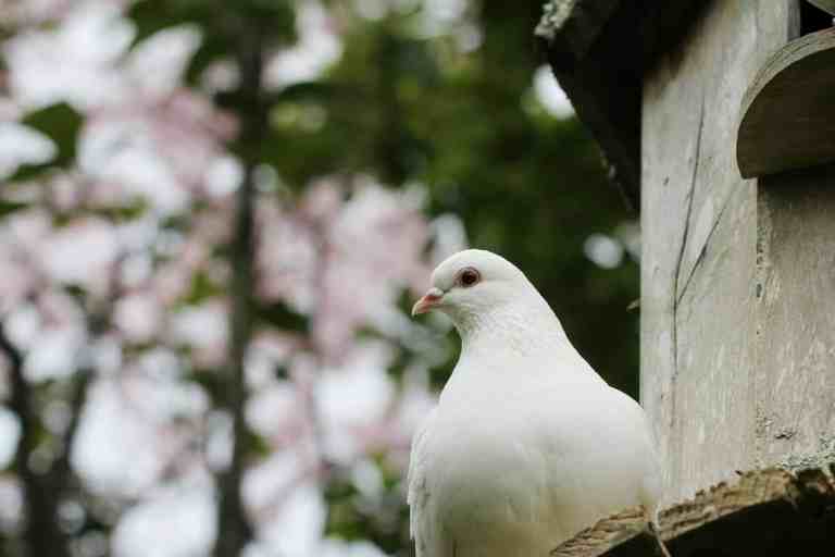 sandy-millar-pIifF2ljB6s-unsplash (1)